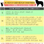 NEWズレヘンダー