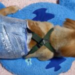 NEWズレヘンダー