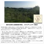 Chubby bunny Factory『イタリアンレザー』スマートキーケース