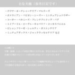 SNOOPY 小っちゃなキミのズレヘンダー