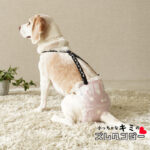 SNOOPY 小っちゃなキミのズレヘンダー