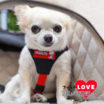 SNOOPYフィットLOVEズレヘンダー