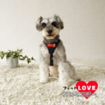 SNOOPYフィットLOVEズレヘンダー