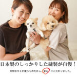 SNOOPY 小っちゃなキミのズレヘンダー