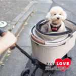 SNOOPYフィットLOVEズレヘンダー