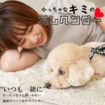 SNOOPY 小っちゃなキミのズレヘンダー